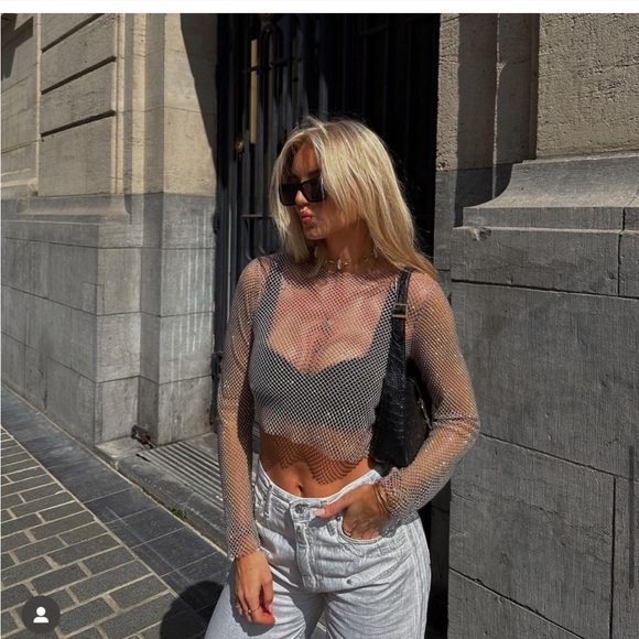 🍹NWT ZARA BLOGGERS FAVORITE favorite Shimmer Mesh Crop Top size small - Picture 10 of 11